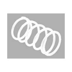 CLUTCH SPRINGS SECNDRY YAM
