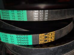 Alternative view of Drive Belt 788-17-28