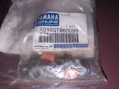 1999-2001  Yamaha  GRIZZLY YFM600 TRAILER HITCH Bolts ABA5GT860099