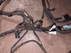 2004 - 2006 Yamaha SX VENOM,SXVENOM Wire Harness Assembly - Image 4