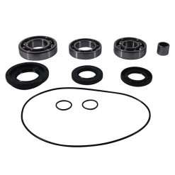 ALL BALLS DIFFERENTIAL BEARING AND SEAL KIT