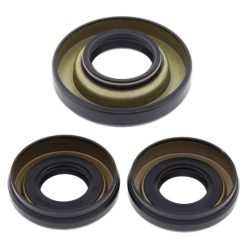 ALL BALLS DIFFERENTIAL SEAL KIT
