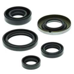 VERTEX OIL SEAL KIT