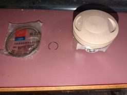 PISTON KIT (RING, CLIP, PIN, PISTON) BV - 13211/167MM-N - Image 5