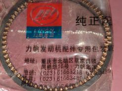 PISTON KIT (RING, CLIP, PIN, PISTON) BV - 13211/167MM-N - Image 3
