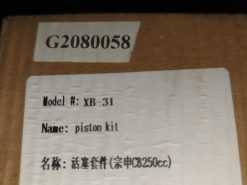 Alternative view of XB31 250 PISTON KIT OH - G2080058