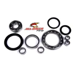 ALL BALLS - REAR DIFFERENTIAL KIT - 206327