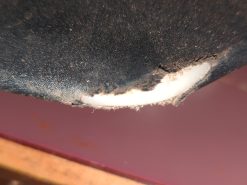 Alternative view of 2004 - 2006 Yamaha YZF-R1,R1  Tandem Seat Assembly