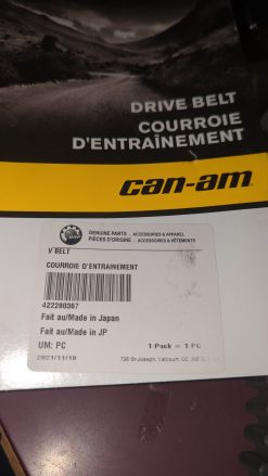 CAN AM V-Belt - Image 2