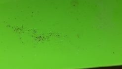 2014 - 2017 Arctic Cat M,ZR,XF Windshield - Low - Green - Image 3