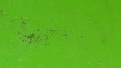 Alternative view of 2014 - 2017 Arctic Cat M,ZR,XF Windshield - Low - Green