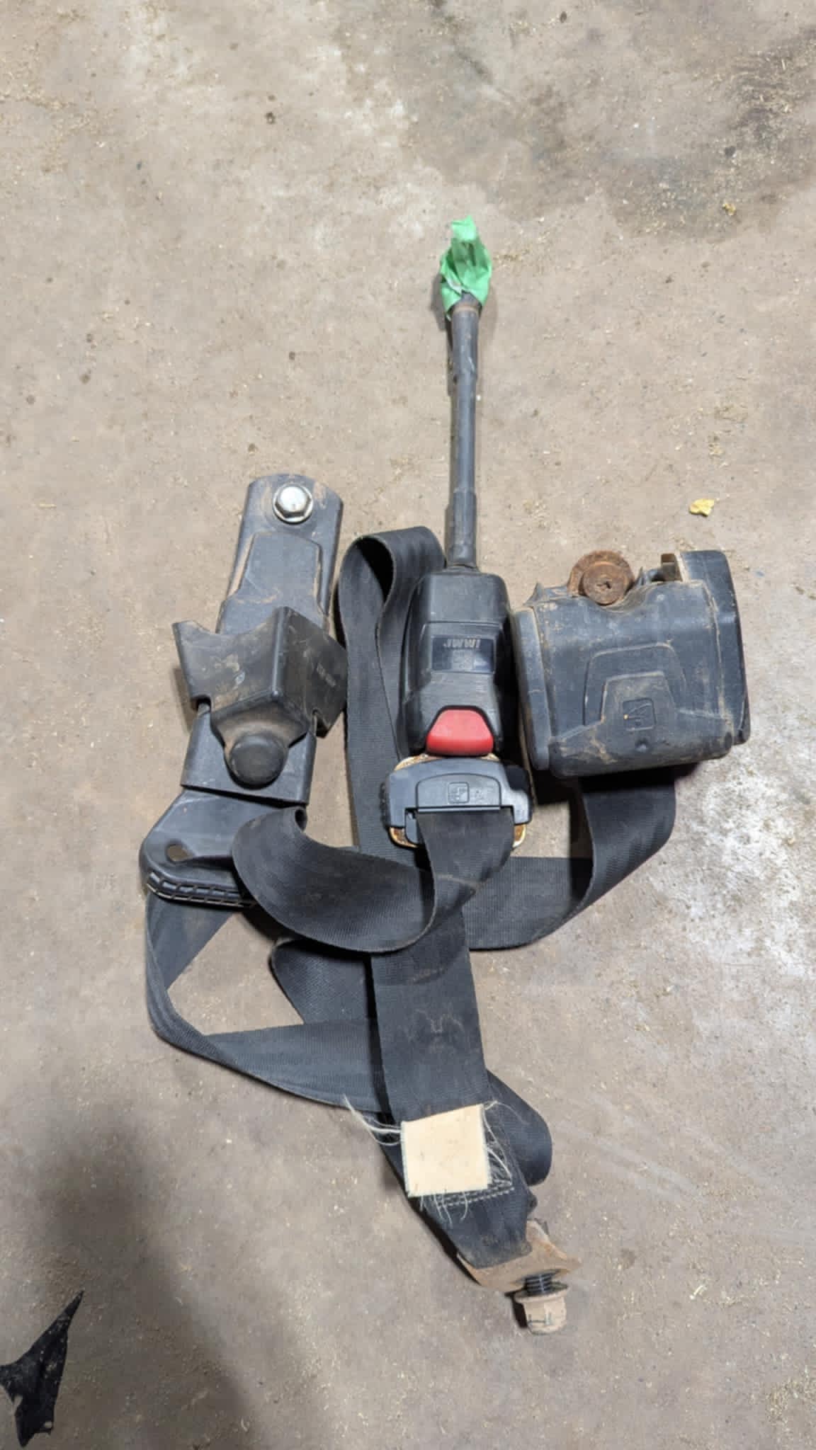 2015-16 WILDCAT X Seat belt Assembly 3pt