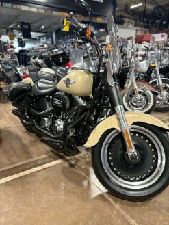 Alternative view of 2014 Harley Davidson Fat Boy Lo