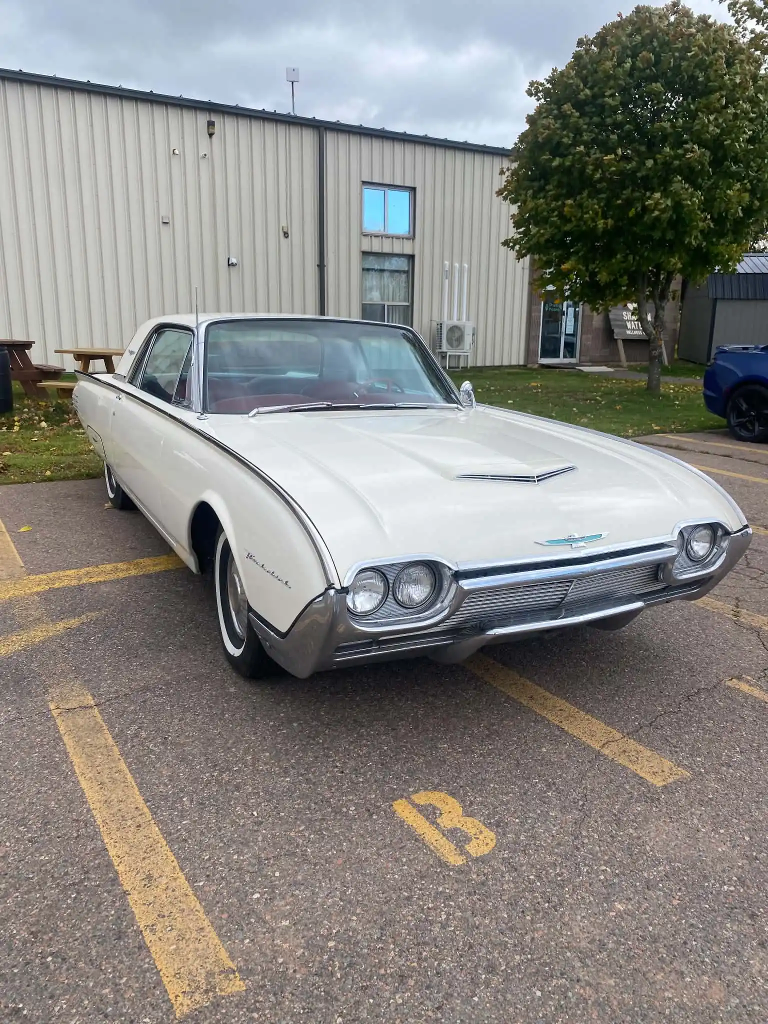1961 Thunderbird 3rd Gen