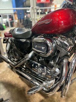 2008 Harley Davidson Sportster 1200 Custom - Image 3